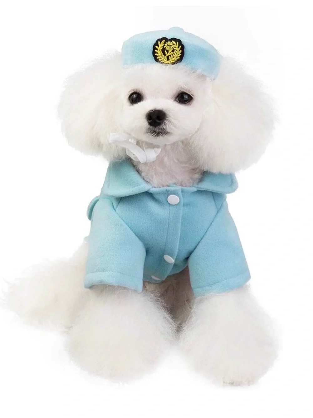 Tangpan Fashion Lapel Woollen Flight Attendant Dog Costume XXL
